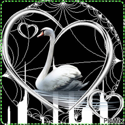 swan - Δωρεάν κινούμενο GIF