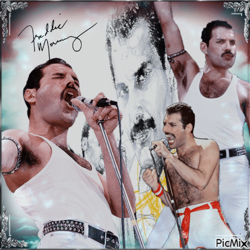 Freddie Mercury - Бесплатный анимированный гифка