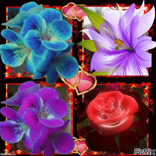 Virágok - Gratis geanimeerde GIF