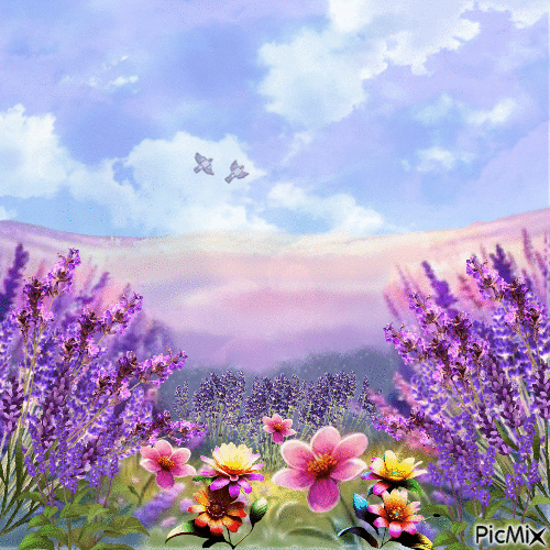 Paesaggio con lavanda e fiori - Nemokamas animacinis gif