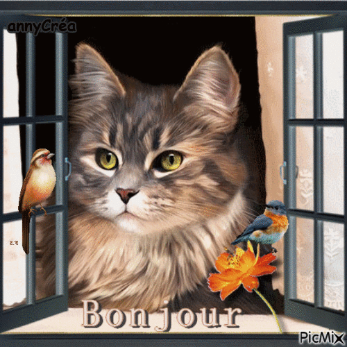 Bonjour mes amis - Безплатен анимиран GIF