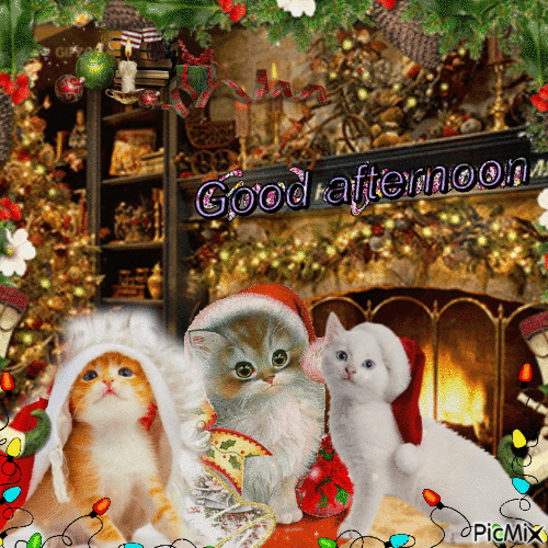 Christmas cats - GIF animasi gratis