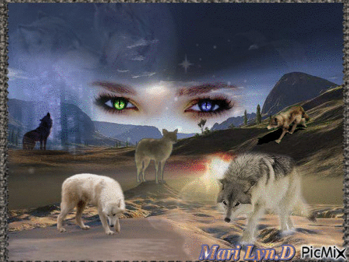 la vallée des loups (moi) - Darmowy animowany GIF
