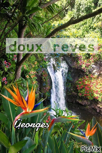 DOUX REVES . - 無料png