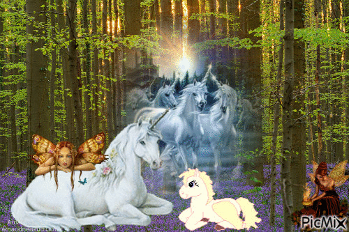 Licornes et fées - GIF animado grátis
