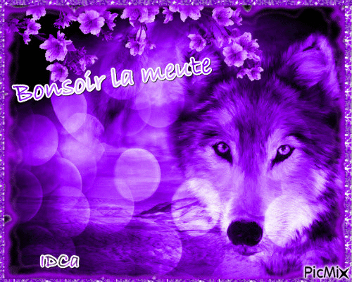 Bonsoir les loups - Bezmaksas animēts GIF