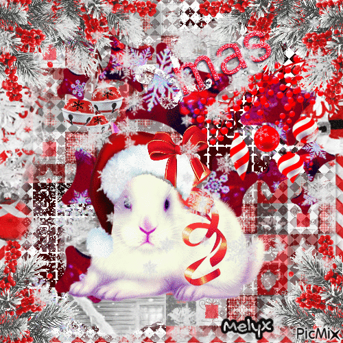 Christmas bunny - 無料のアニメーション GIF