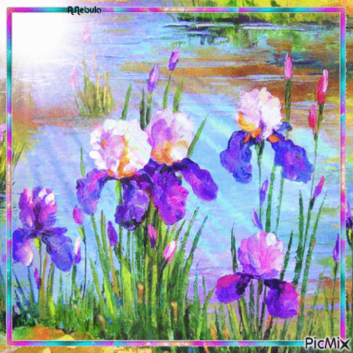 Iris Flowers / Have a beautiful day - GIF animasi gratis