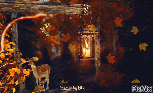 Autumn nights - Free animated GIF