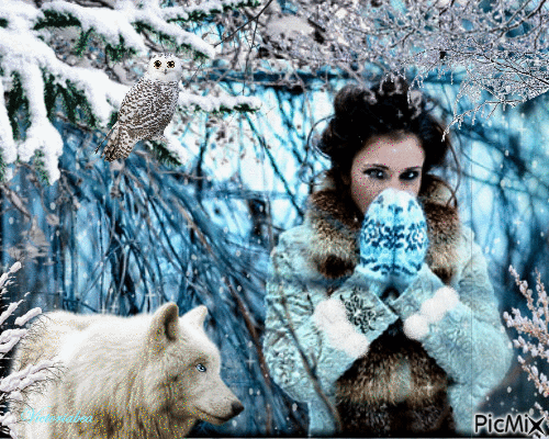 Winter in the forest - GIF animé gratuit