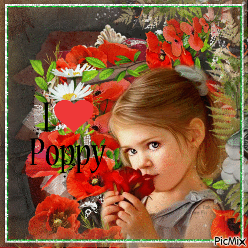 I love Poppy - Free animated GIF