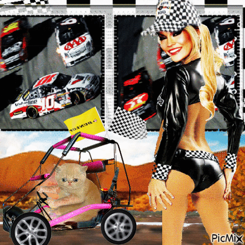 RACE CAR - Zdarma animovaný GIF