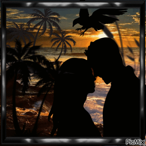 silhouettes au couché du soleil - Darmowy animowany GIF