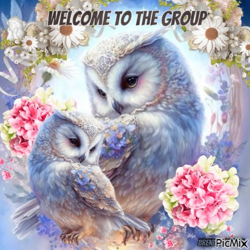 welcome owl - 免费PNG
