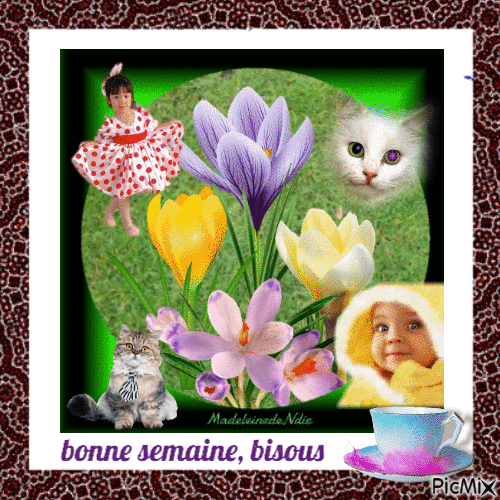 semaine, bisous - Free animated GIF
