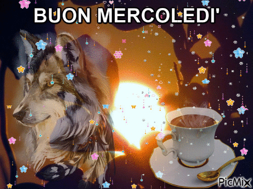 BUON MERCOLEDI' - 無料のアニメーション GIF