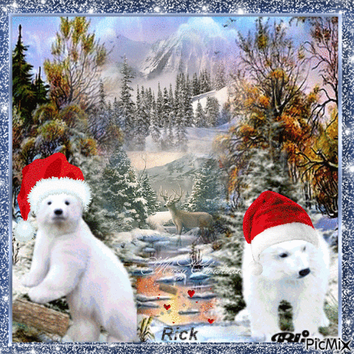 Merry Beary Christmas   11-18-21  by xRick7701x - Ingyenes animált GIF
