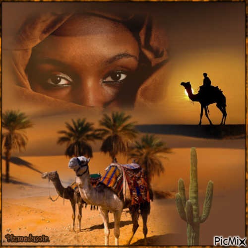 Femme du desert. - ücretsiz png