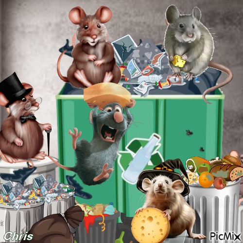 Les rats - 無料png