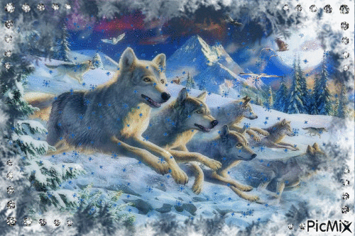 Snow wolves - GIF animé gratuit