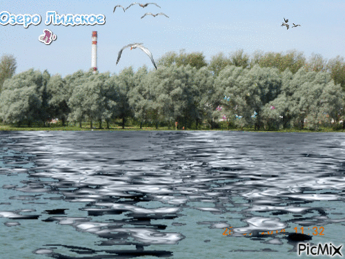 Лидское озеро - GIF animasi gratis