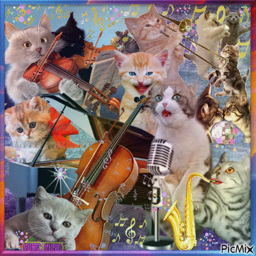 Meow Music Band =)) - Gratis animerad GIF