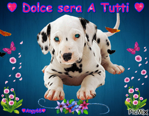 cucciolo buona serata - Zdarma animovaný GIF