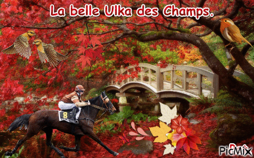 La championne Ulka des Champs. - Δωρεάν κινούμενο GIF