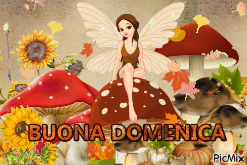 BUONA DOMENICA - Free animated GIF