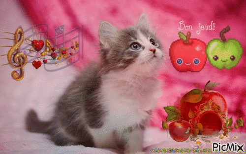 bon jeudi chaton - Gratis animerad GIF