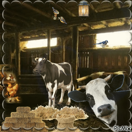 les Vaches à l'étable - Darmowy animowany GIF