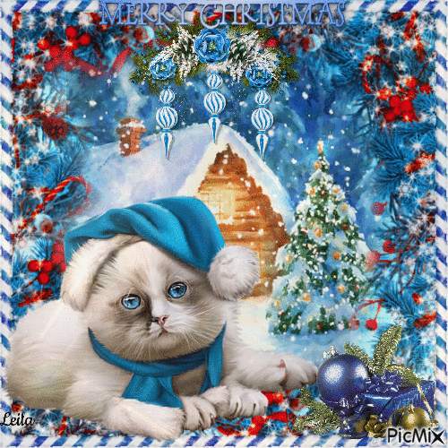 Merry Christmas. Cat in blue - 無料のアニメーション GIF