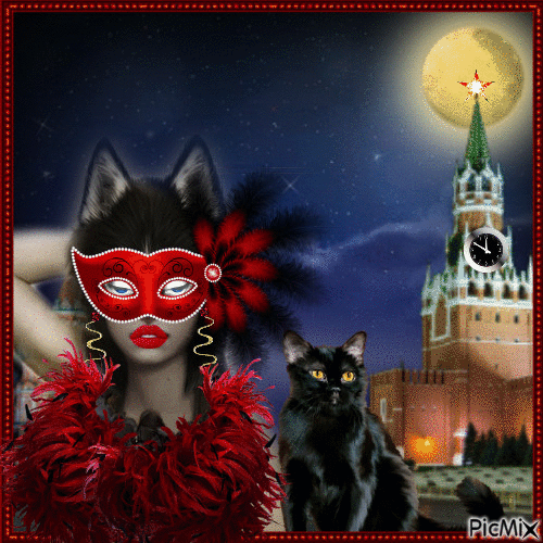 black cat 😻❣ - Ilmainen animoitu GIF