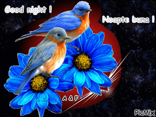 night - Бесплатный анимированный гифка