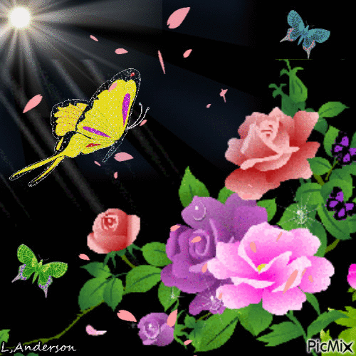 Roses An Butterfly - GIF animado gratis