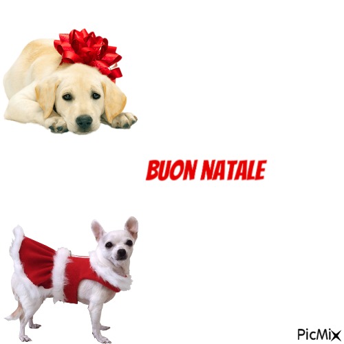 Buon Natale 💫 - 免费PNG