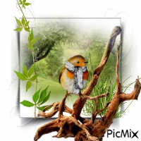 oiseau1 - PNG gratuit