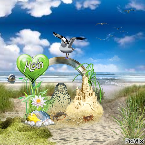 Strand Landschaft - PNG gratuit