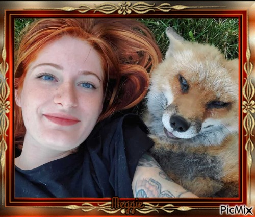 my fox and me - безплатен png
