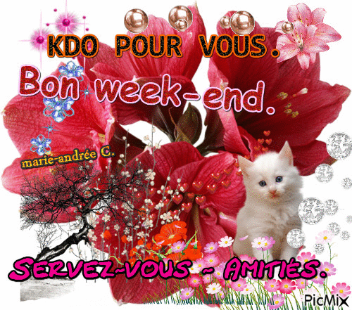 Fleurs, Un petit chat mi-mi § Kdo - Bon week-end. - Zdarma animovaný GIF