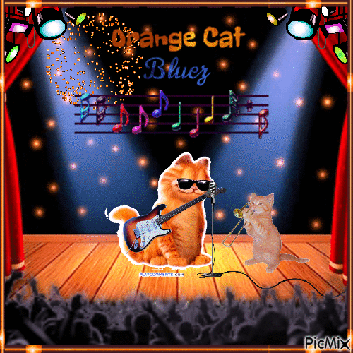 orange cat bluez - Bezmaksas animēts GIF