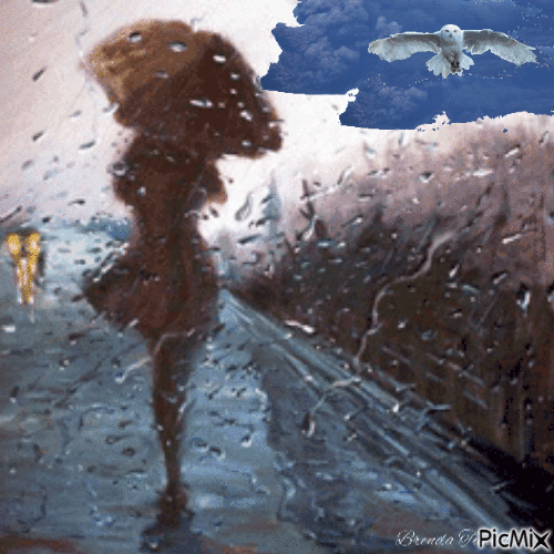 owl rain - Bezmaksas animēts GIF