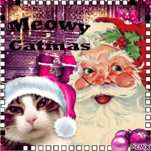 Meowy Catmas - 無料のアニメーション GIF