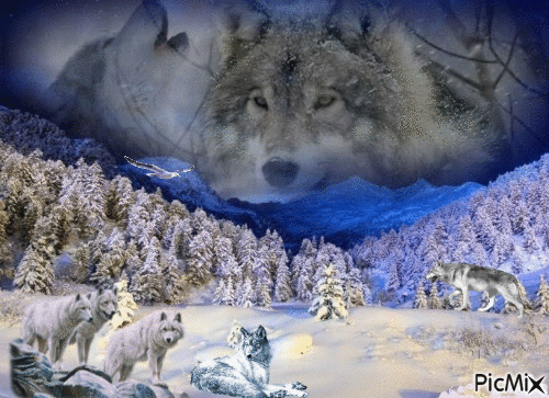 Alice et ses loups - Ilmainen animoitu GIF