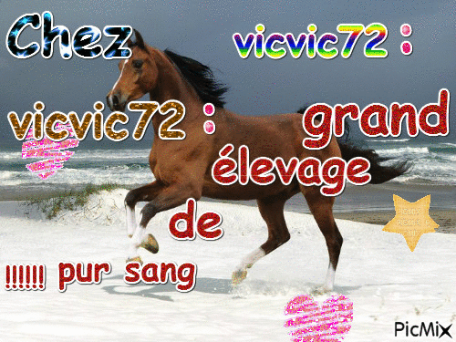 Pour vicvic72 - Bezmaksas animēts GIF