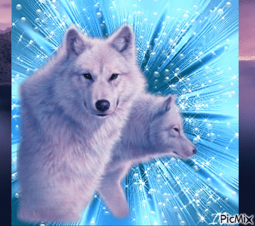 TWO WHITE WOLFS IN THE BLEU A - Gratis geanimeerde GIF