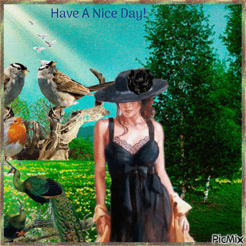 Concours : Femme avec un chapeau noir et des oiseaux