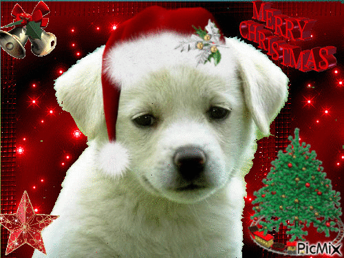 WOOF MERRY CHRISTMAS - Безплатен анимиран GIF