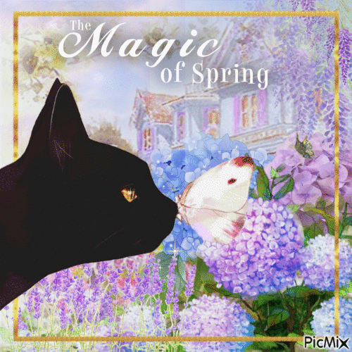 Spring Magic