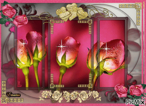 rosas 316 - Ingyenes animált GIF